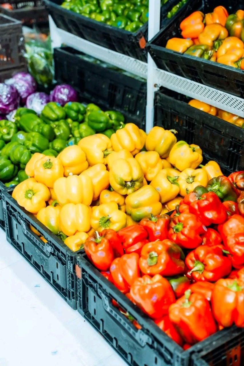 The Boring Choice Is Usually the Right One